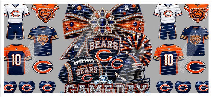 16oz team-NFL 3526